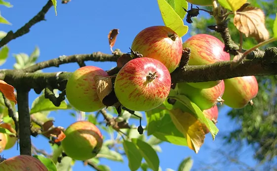 Aerospace technology