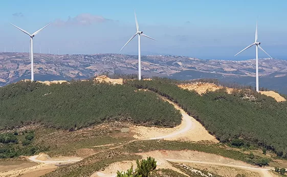 Modern Office Complex